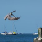 Landing Zone